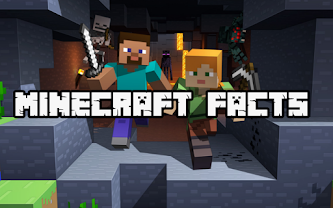 Facts About Minecraft